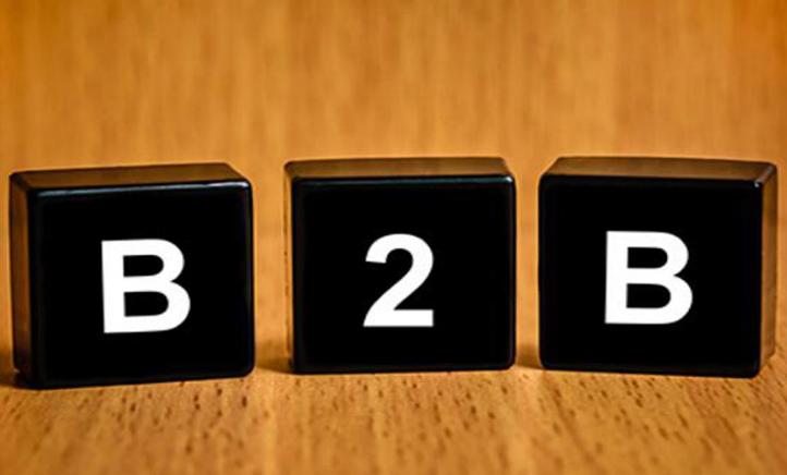 b2b网站营销策略分析-随商电商平台系统